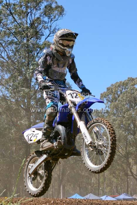 445x677 pixels (75K)